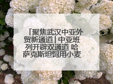 聚焦武汉中亚外贸新通道│中亚班列开辟双通道 哈萨克斯坦饲用小麦将抵鄂