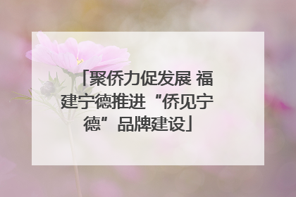 聚侨力促发展 福建宁德推进“侨见宁德”品牌建设