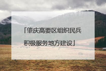 肇庆高要区组织民兵积极服务地方建设