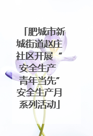 肥城市新城街道赵庄社区开展“安全生产 青年当先”安全生产月系列活动