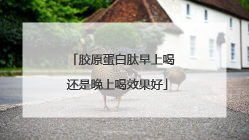 胶原蛋白肽早上喝还是晚上喝效果好