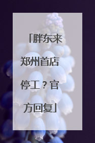 胖东来郑州首店停工？官方回复