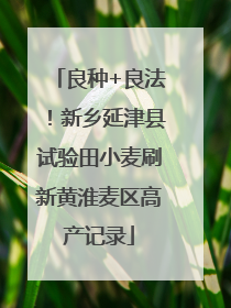 良种+良法！新乡延津县试验田小麦刷新黄淮麦区高产记录