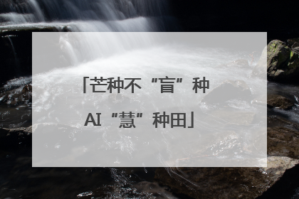 芒种不“盲”种 AI“慧”种田