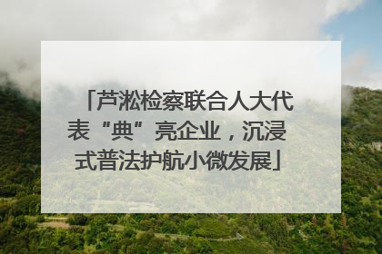 芦淞检察联合人大代表“典”亮企业，沉浸式普法护航小微发展