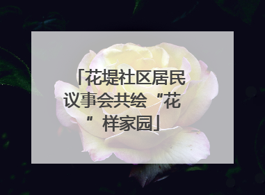 花堤社区居民议事会共绘“花”样家园