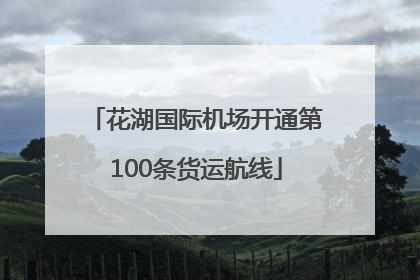 花湖国际机场开通第100条货运航线
