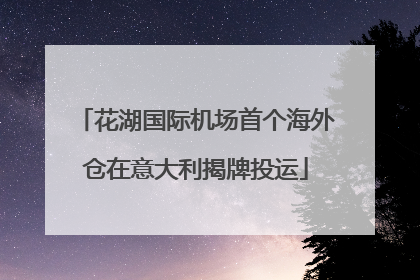 花湖国际机场首个海外仓在意大利揭牌投运