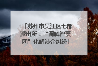苏州市吴江区七都派出所：“调解智囊团”化解涉企纠纷