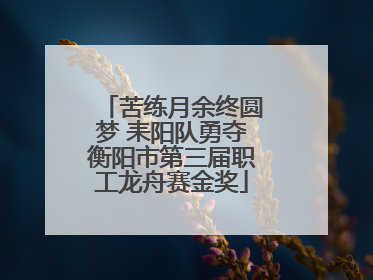 苦练月余终圆梦 耒阳队勇夺衡阳市第三届职工龙舟赛金奖