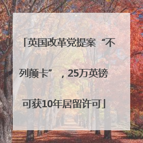 英国改革党提案“不列颠卡”，25万英镑可获10年居留许可