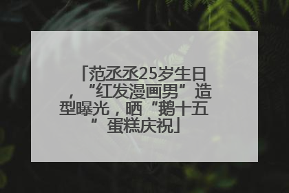 范丞丞25岁生日,“红发漫画男”造型曝光,晒“鹅十五”蛋糕庆祝