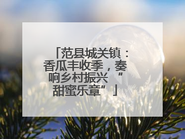 范县城关镇：香瓜丰收季，奏响乡村振兴 “甜蜜乐章”