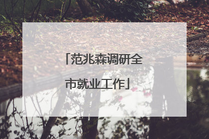范兆森调研全市就业工作