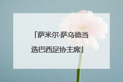 萨米尔·萨乌德当选巴西足协主席