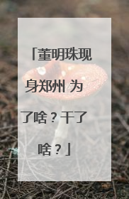 董明珠现身郑州 为了啥？干了啥？