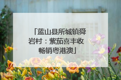 蓝山县所城镇舜岩村：紫茄喜丰收 畅销粤港澳