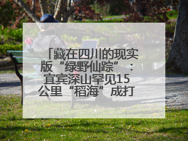 藏在四川的现实版“绿野仙踪”：宜宾深山罕见15公里“稻海”成打卡新地标