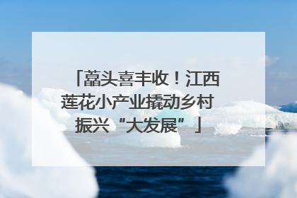藠头喜丰收！江西莲花小产业撬动乡村振兴“大发展”