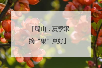 蜀山：夏季采摘“果”真好