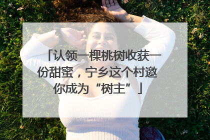 认领一棵桃树收获一份甜蜜，宁乡这个村邀你成为“树主”