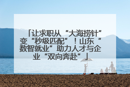 让求职从“大海捞针”变“秒级匹配”！山东“数智就业”助力人才与企业“双向奔赴”