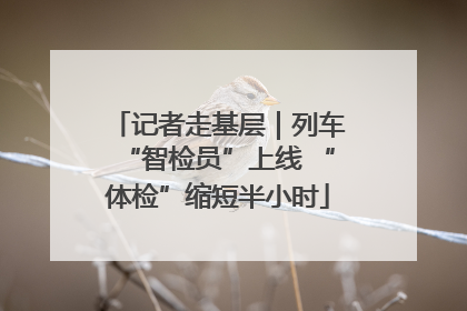 记者走基层｜列车“智检员”上线 “体检”缩短半小时