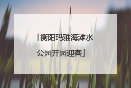 衡阳玛雅海滩水公园开园迎客