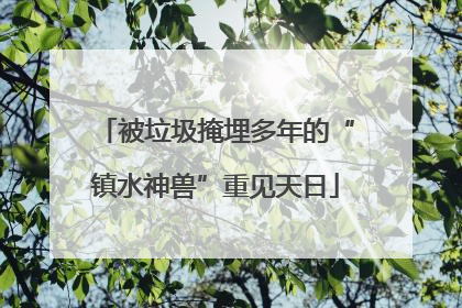 被垃圾掩埋多年的“镇水神兽”重见天日
