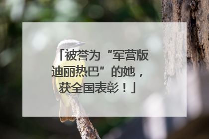 被誉为“军营版迪丽热巴”的她，获全国表彰！
