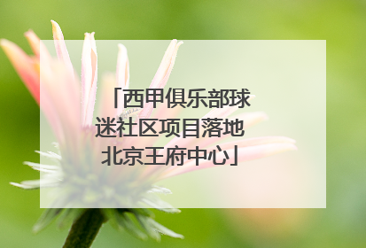 西甲俱乐部球迷社区项目落地北京王府中心