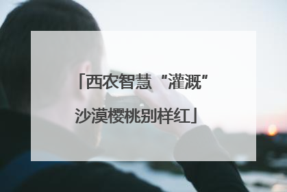 西农智慧“灌溉” 沙漠樱桃别样红