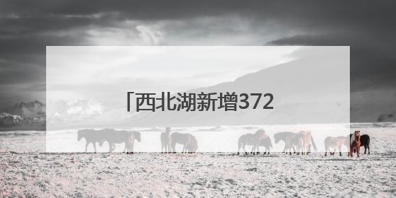 西北湖新增372个地下智能停车位，地上变小游园