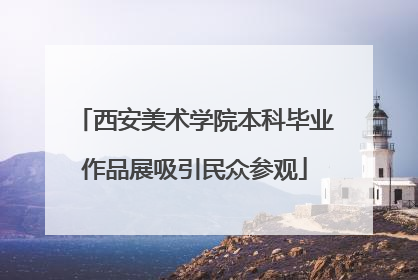 西安美术学院本科毕业作品展吸引民众参观
