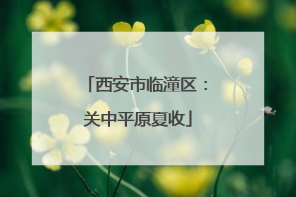 西安市临潼区：关中平原夏收