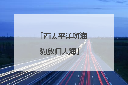 西太平洋斑海豹放归大海