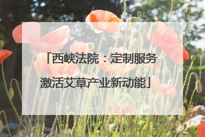 西峡法院：定制服务激活艾草产业新动能