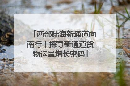 西部陆海新通道向南行丨探寻新通道货物运量增长密码