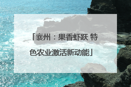 襄州：果香虾跃 特色农业激活新动能