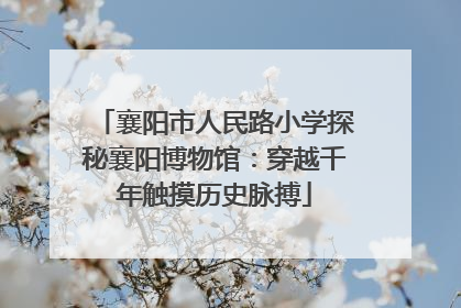 襄阳市人民路小学探秘襄阳博物馆：穿越千年触摸历史脉搏