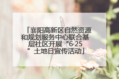 襄阳高新区自然资源和规划服务中心联合基层社区开展“6·25”土地日宣传活动