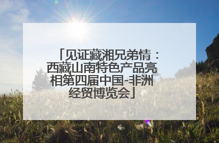 见证藏湘兄弟情：西藏山南特色产品亮相第四届中国-非洲经贸博览会