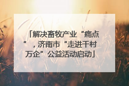 解决畜牧产业“痛点”，济南市“走进千村万企”公益活动启动