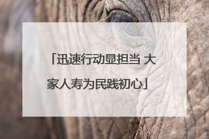 迅速行动显担当 大家人寿为民践初心