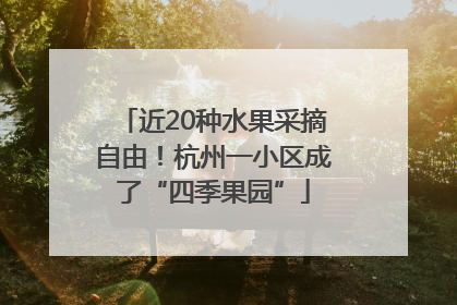 近20种水果采摘自由！杭州一小区成了“四季果园”