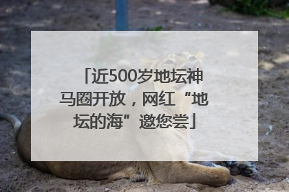 近500岁地坛神马圈开放，网红“地坛的海”邀您尝