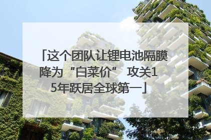 这个团队让锂电池隔膜降为“白菜价” 攻关15年跃居全球第一