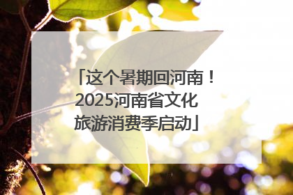 这个暑期回河南！2025河南省文化旅游消费季启动