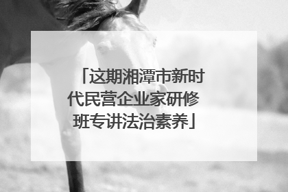 这期湘潭市新时代民营企业家研修班专讲法治素养
