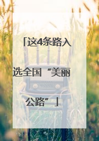 这4条路入选全国“美丽公路”